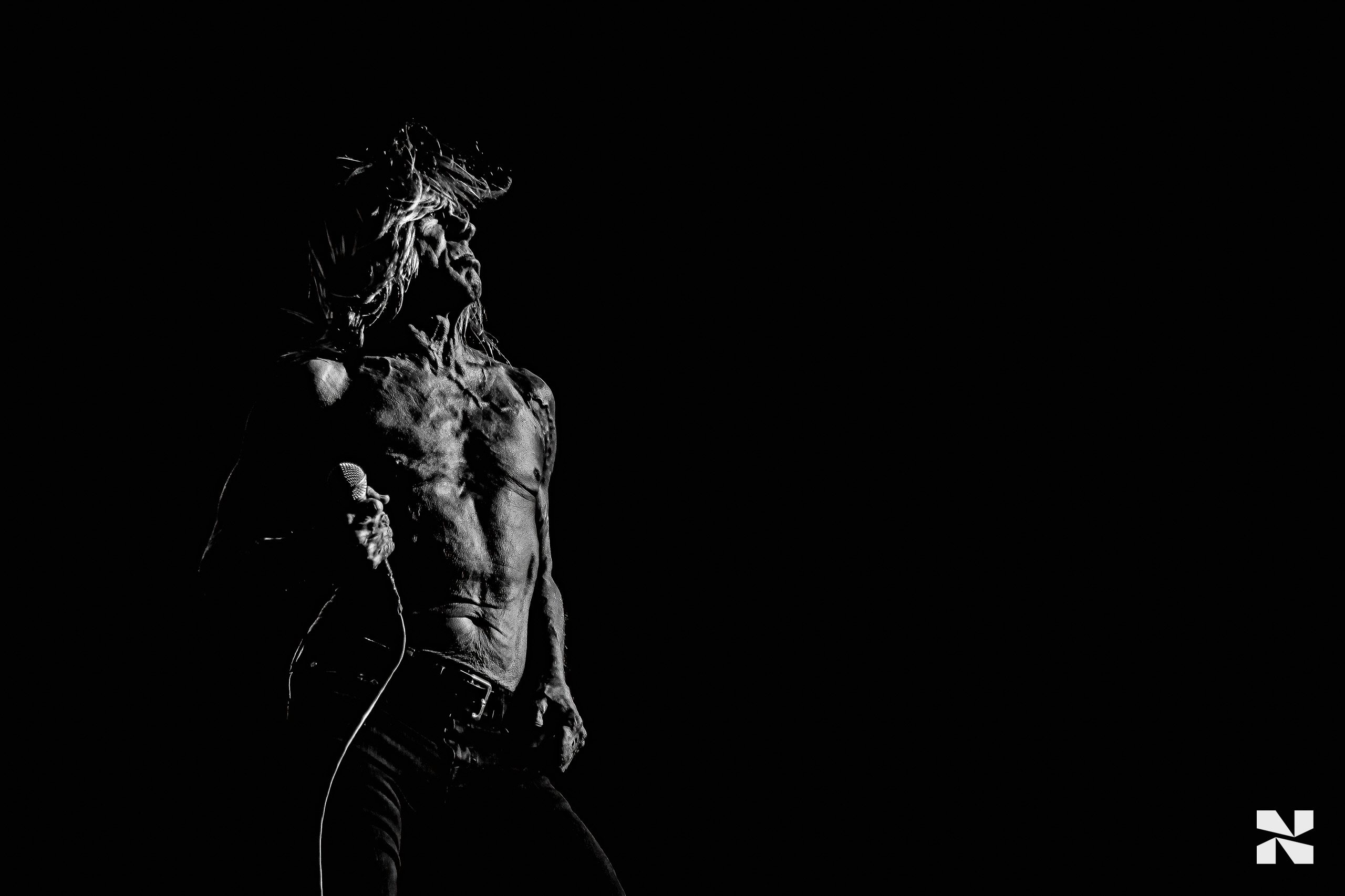 Iggy Pop – Paléo Festival, Nyon – 20.07.2010