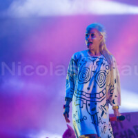 Die Antwoord, Festival La Nuit de l'Erdre, 2015