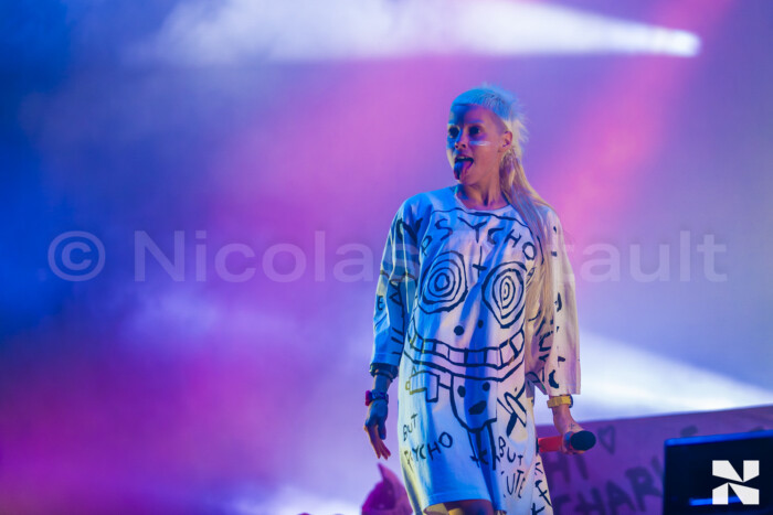 Die Antwoord, Festival La Nuit de l'Erdre, 2015