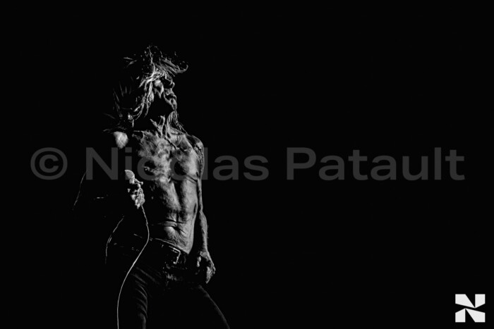 Iggy Pop, Paléo Festival Nyon, 2010